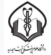 دانشگاه علوم پزشکی تربت حیدریه